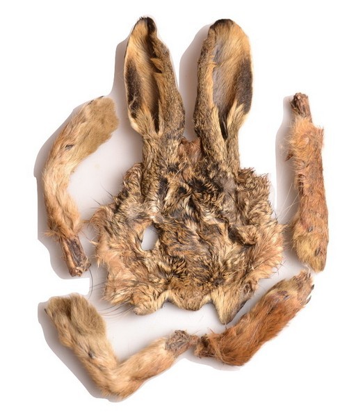 Carnis Hazenmasker per stuk