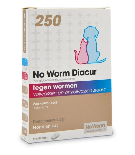 Exil No Worm Diacur 250 Mg 10 tab