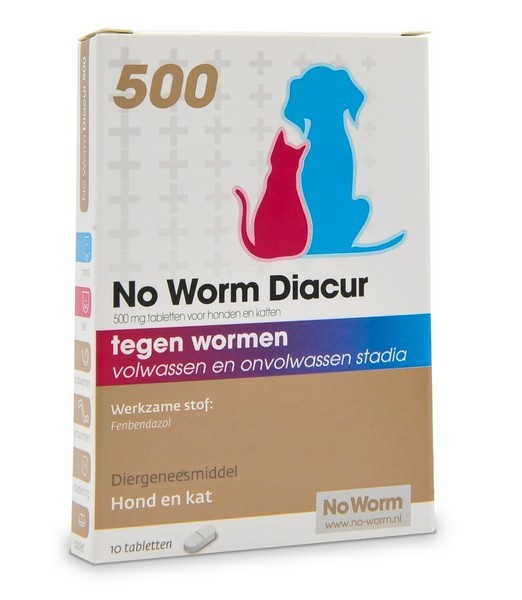 Exil No Worm Diacur 500 Mg 10 tab