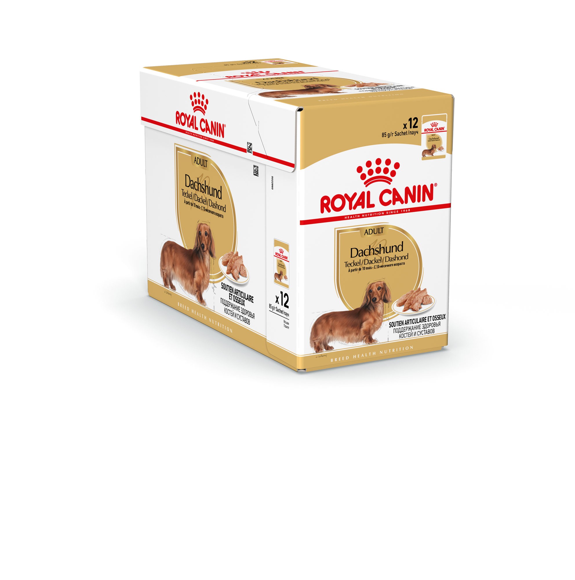 Royal Canin Dachshund Adult Wet 12x85 gr