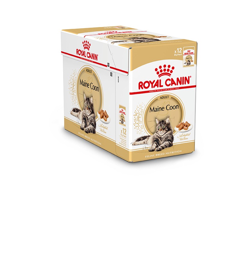 Royal Canin Maine Coon Adult Wet 12x85 gr