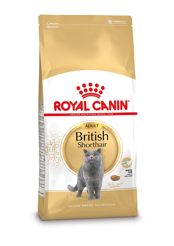 Royal Canin British Shorthair Adult 400 gr