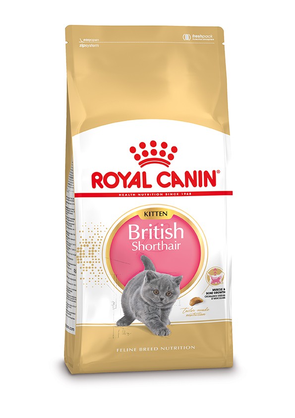 Royal-Canin-British-Shorthair-Kitten-2-kg