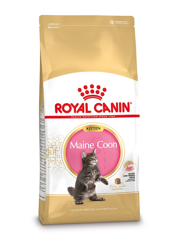 Royal Canin Maine Coon Kitten 400 gr