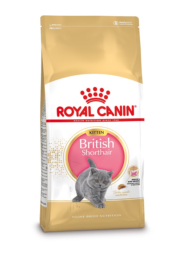 Royal Canin British Shorthair Kitten 400 gr