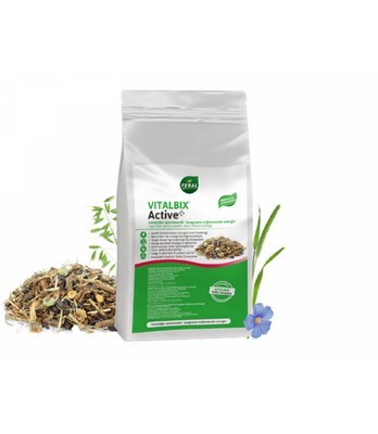 Vitalbix-Active-22-kg