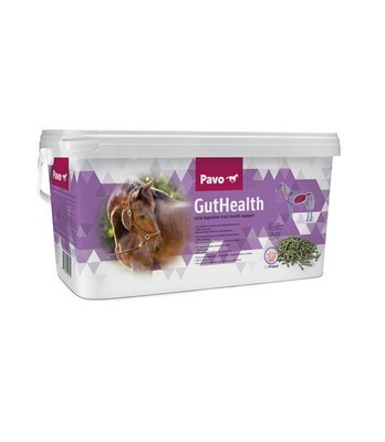 Pavo GutHealth 7,5kg