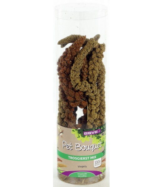 ESVE-Pet-Bouquet-koker-Trosgierst