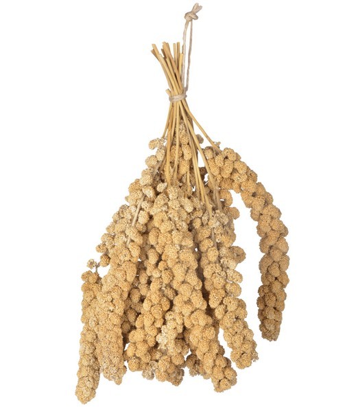 Chinese-Trosgierst-1-kg