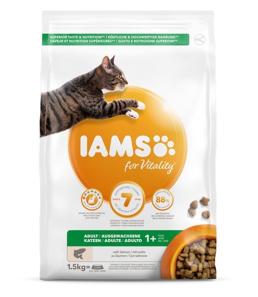 Iams cat adult salmon