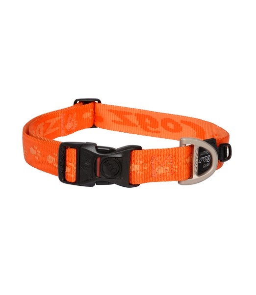 Alpinist-Halsband-XL-Oranje
