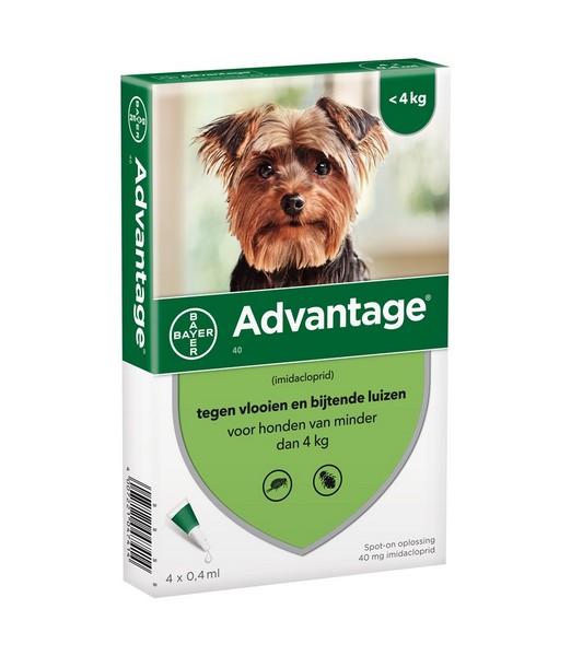 Advantage Hond 0kg-4kg - 4 pipet